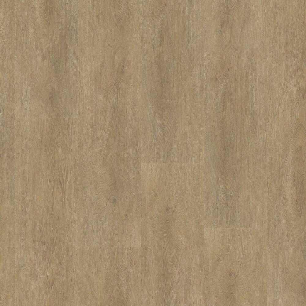 Parramatta dryback natural oak