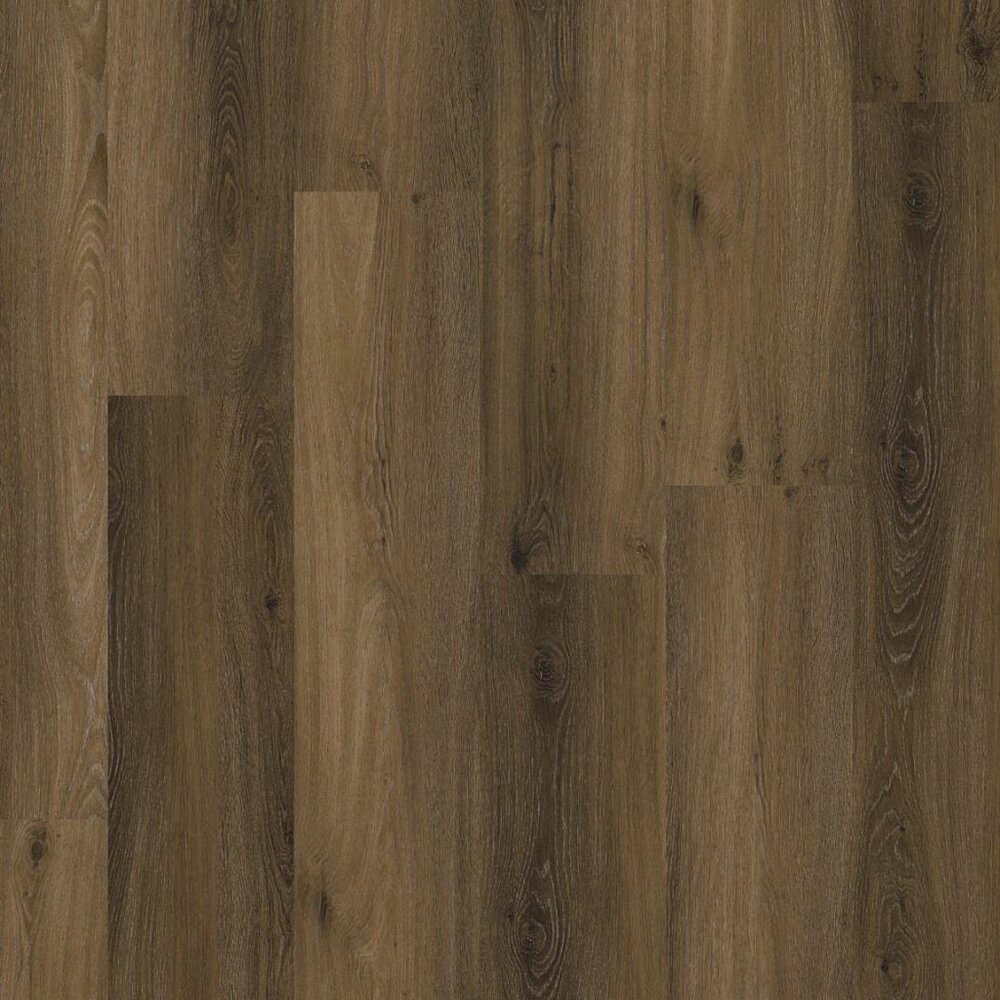 Paddington click SRC warm brown