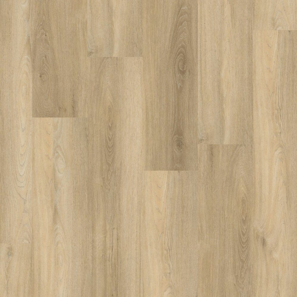 Paddington click SRC beige