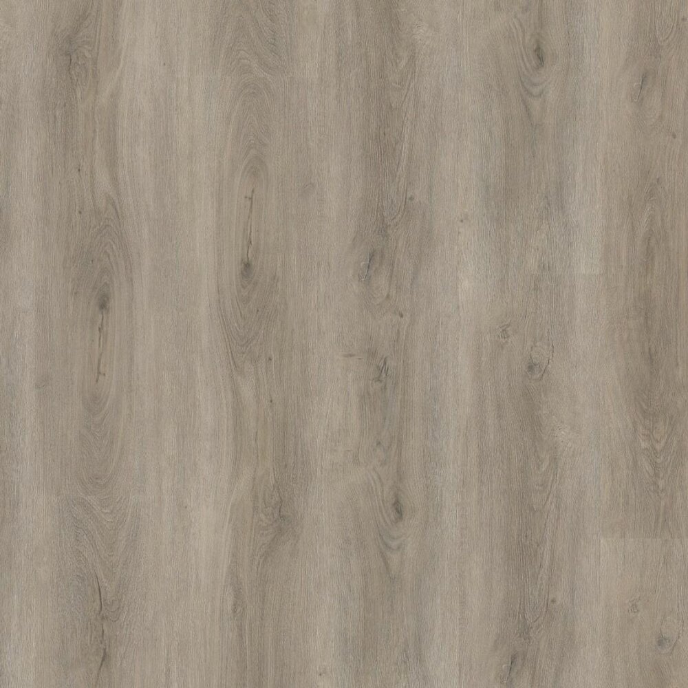 Parramatta click SRC light grey