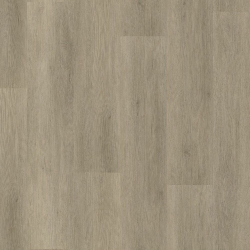 Newham dryback smoky