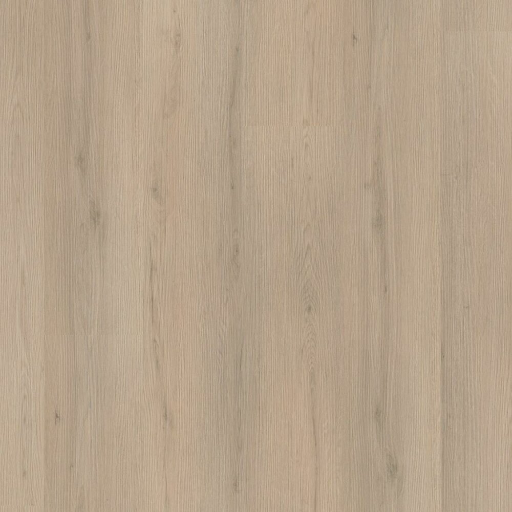 Barnet click beige