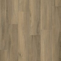 Paddington click SRC smoky