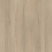 Barnet click beige