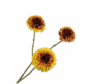 ZONNEBLOEM TAK GL/BRN 90 cm