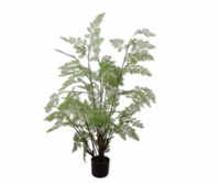VAREN GROEN 100 cm