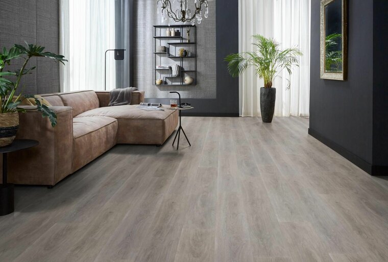 Parramatta dryback grey oak