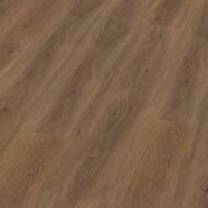 Parramatta dryback warm brown
